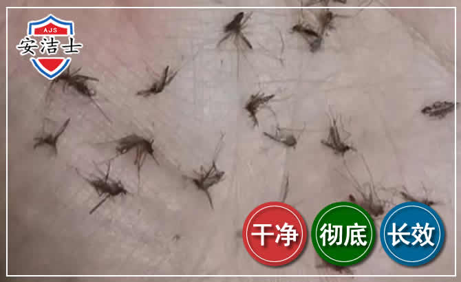 兰溪蚊子防治-灭蚊