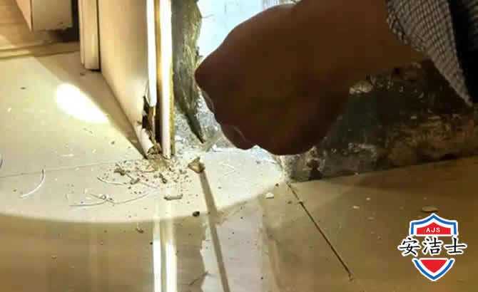 兰溪房屋建筑防治白蚁