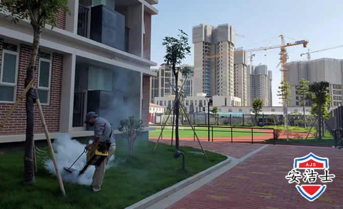 兰溪工厂工地除白蚁