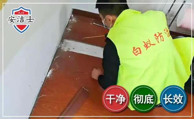 兰溪除四害现场