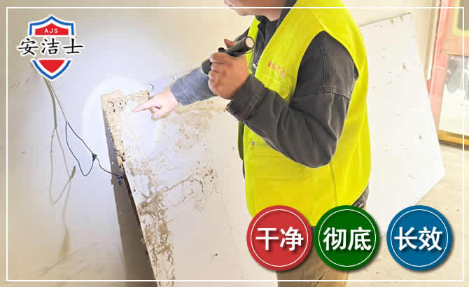 兰溪除白蚁现场