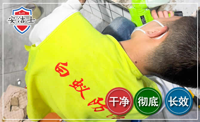 兰溪白蚁根治现场